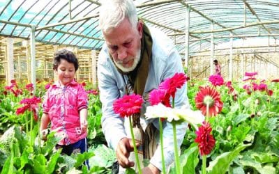 কোটি টাকার ফুল বিক্রির আশা