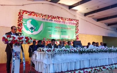 চামড়া শিল্পে ক্রান্তিকাল অতিক্রম করছে: বিটিএ