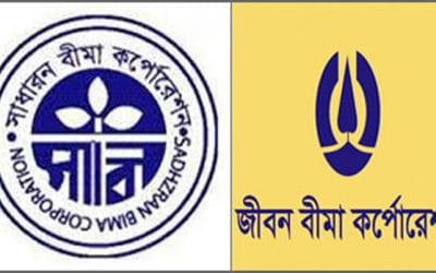 মূলধন বাড়ছে দুই বীমা সংস্থার