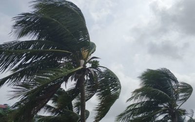 ঘূর্ণিঝড় ফণী: ক্ষতির আশঙ্কা কমে গেছে