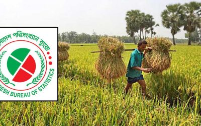 ৬ষ্ঠ কৃষি শুমারির তথ্য সংগ্রহ শুরু