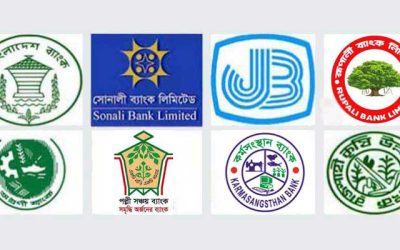 সরকারি ব্যাংকের ডিএমডি নিয়োগে নতুন জটিলতা