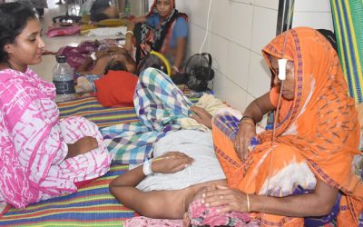 ডেঙ্গুর নতুন রেকর্ড : ২৪ ঘণ্টায় হাসপাতালে ৫৬০ জন