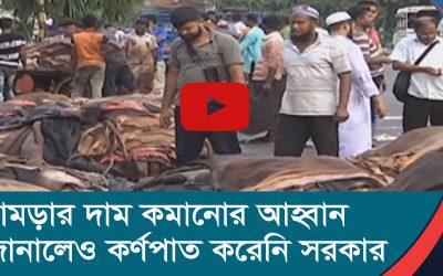 কোরবানির পশুর চামড়ার দাম কমানোর আহ্বান জানালেও কর্ণপাত করেনি সরকার