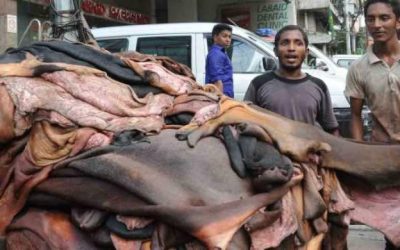 এবার কী হবে কোরবানির চামড়ার