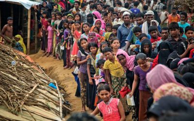 রোহিঙ্গা সংকট বিশ্ব এজেন্ডায় রাখার আহ্বান স্বরাষ্ট্রমন্ত্রীর