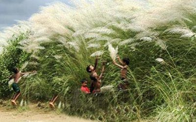 ধরায় এসেছে শরৎ