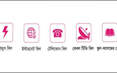 বছরে এক কোটির বেশি বিদ্যুৎ বিল পরিশোধ বিকাশে