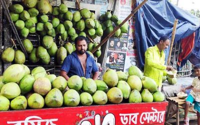 এক লিটার কচি ডাবের পানি ৪৮০ টাকা!