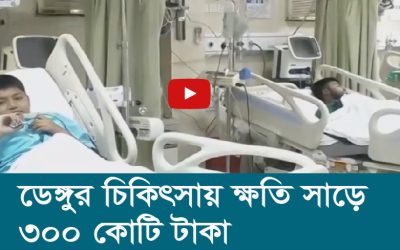 ডেঙ্গুর চিকিৎসায় ক্ষতি সাড়ে ৩০০ কোটি টাকা