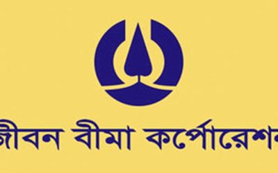 সরকারি অংশে মূলধন বাড়াচ্ছে জীবন বীমা