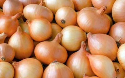 ফের বাড়লো পেঁয়াজের দাম