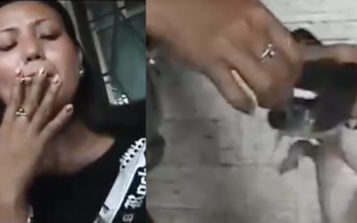 কুকুর ছানার চোখে জ্বলন্ত সিগারেটের ছ্যাঁকা