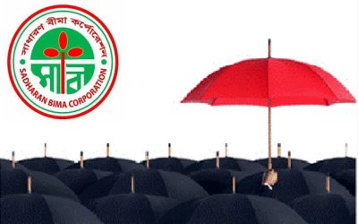 পুনঃবীমার জন্য এসবিসিকে শক্তিশালী করার উদ্যোগ