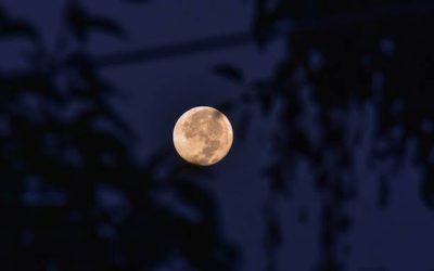 ক্ষুদ্রতম চাঁদ দেখা দেবে শুক্রবার