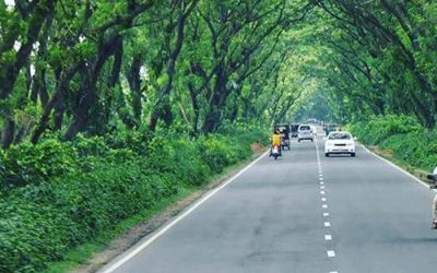 বাংলাদেশের সড়ক নিরাপত্তায় বিশ্বব্যাংক ও জাতিসংঘের আহ্বান