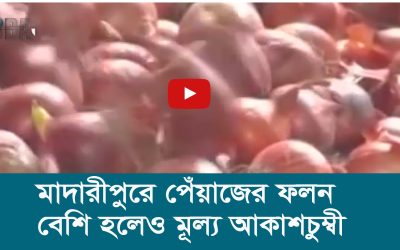 মাদারীপুরে পেঁয়াজের ফলন বেশি হলেও মূল্য আকাশচুম্বী