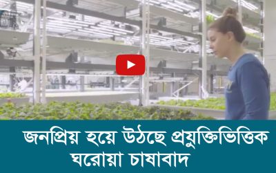 জনপ্রিয় হয়ে উঠছে প্রযুক্তিভিত্তিক ঘরোয়া চাষাবাদ