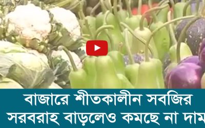 বাজারে শীতকালীন সবজির সরবরাহ বাড়লেও কমছে না দাম