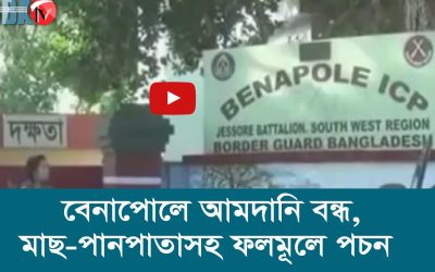 বেনাপোলে আমদানি বন্ধ, মাছ পানপাতাসহ ফলমূলে পচন