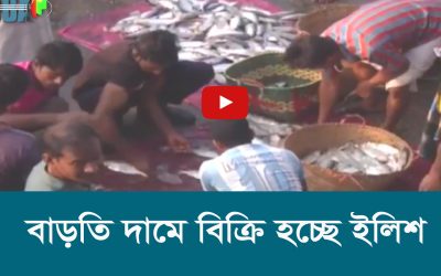 বাড়তি দামে বিক্রি হচ্ছে ইলিশ
