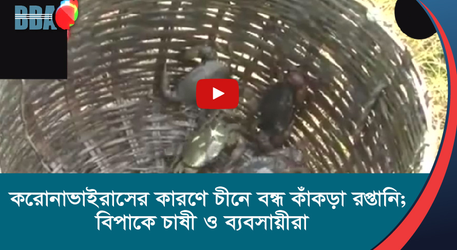 করোনাভাইরাসের কারণে চীনে বন্ধ কাঁকড়া রপ্তানি; বিপাকে চাষী ও ব্যবসায়ীরা