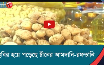 স্থবির হয়ে পড়েছে চীনের আমদানি রফতানি