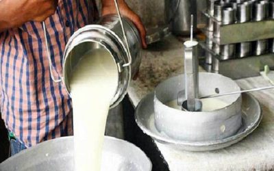 ১০ বছরে দুধের উৎপাদন বেড়েছে ৪গুণ
