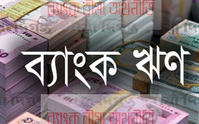 ব্যবস্থাপনা ঠিক রাখতে অস্বাভাবিক হারে ঋণ নিচ্ছে সরকার