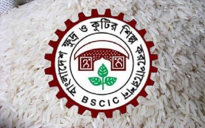সারাদেশে বিসিকের ৯১৩ শিল্পপ্লট খালি