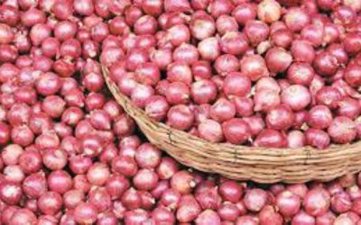 কোরবানির ঈদ : বাড়ছে পেঁয়াজের ঝাঁজ