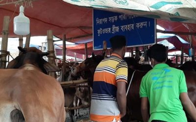 পশু বেচাকেনা জমবে বৃহস্পতি ও শুক্রবার
