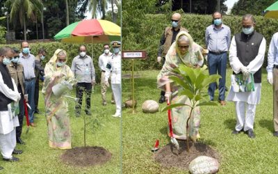 করোনা সাময়িক, আবার আমরা এগিয়ে যাব : প্রধানমন্ত্রী