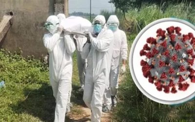 করোনা ভাইরাসে ২৪ ঘণ্টায় মারা গেলেন ৪২ জন