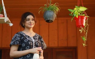 প্রযোজক সোহানা সাবা