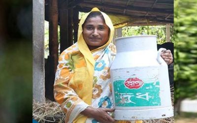 প্রাণ ডেইরিকে ৮৫ কোটি টাকা ঋণ দেবে এডিবি
