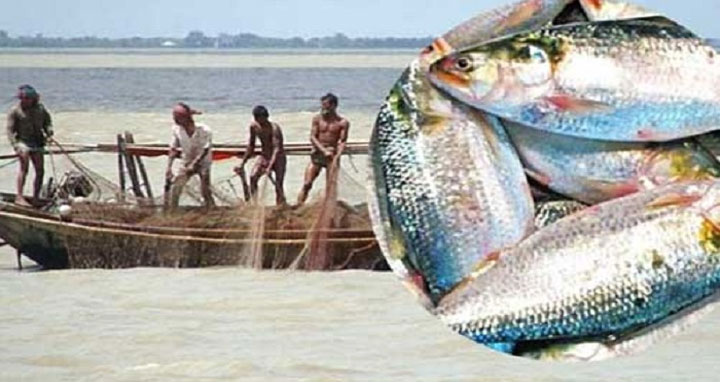 আজ থেকে ইলিশ ধরা ও বিক্রি নিষিদ্ধ