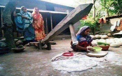 ঐতিহ্যবাহী নবান্ন উৎসব