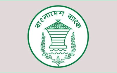 ‘শীর্ষ গ্রাহকদের নিয়ে ঝুঁকিপূর্ণ অধিকাংশ ব্যাংক’