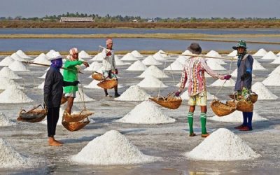 ১৬শ লবণ চাষিকে বিশেষ ঋণ দেবে বিসিক