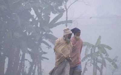 দেশজুড়ে জেঁকে বসেছে শীত