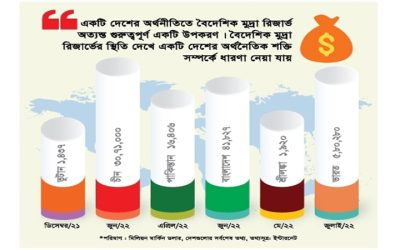 বৈদেশিক মুদ্রা রিজার্ভের স্থিতি নিয়ে মতান্তর