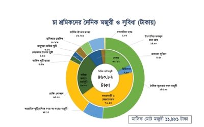 প্রকৃত সুবিধা নিয়ে মুখ খুলছেনা চা শ্রমিকরা