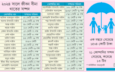 জীবন বীমা খাতের সম্পদ বাড়ছে