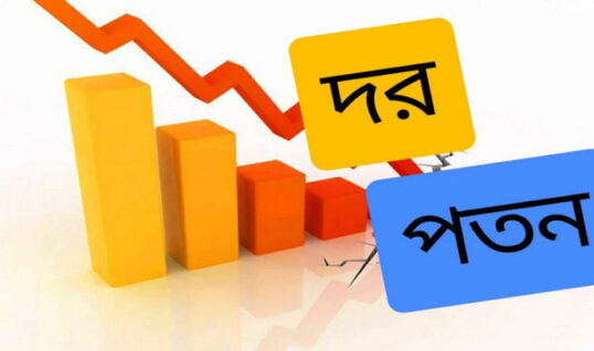 মার্কেন্টাইল ব্যাংক সহ দরপতনের শীর্ষ ১০ কোম্পানি