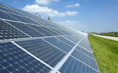 কর অব্যাহতি পেতে যাচ্ছে সৌরবিদ্যুৎ উৎপাদনকারী প্রতিষ্ঠান