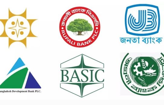 রাষ্ট্রীয় ৬ ব্যাংকের এমডি পদে সরকার দেবে মনোনয়ন, নিয়োগ দেবে পর্ষদ
