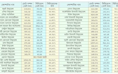 সম্পদের তুলনায় বিনিয়োগে বড় পার্থক্য