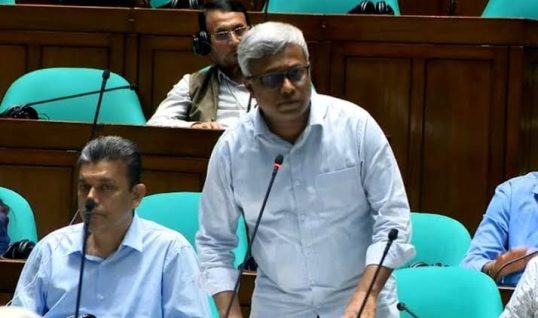বিদ্যুৎ সংকটে সংসদে ক্ষমা চাইলেন বিদ্যুৎ প্রতিমন্ত্রী
