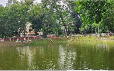 পাঁচ শহরে পুকুর রক্ষায় হাইকোর্টের নির্দেশ, ১৫ দিনে গঠন হবে কমিটি